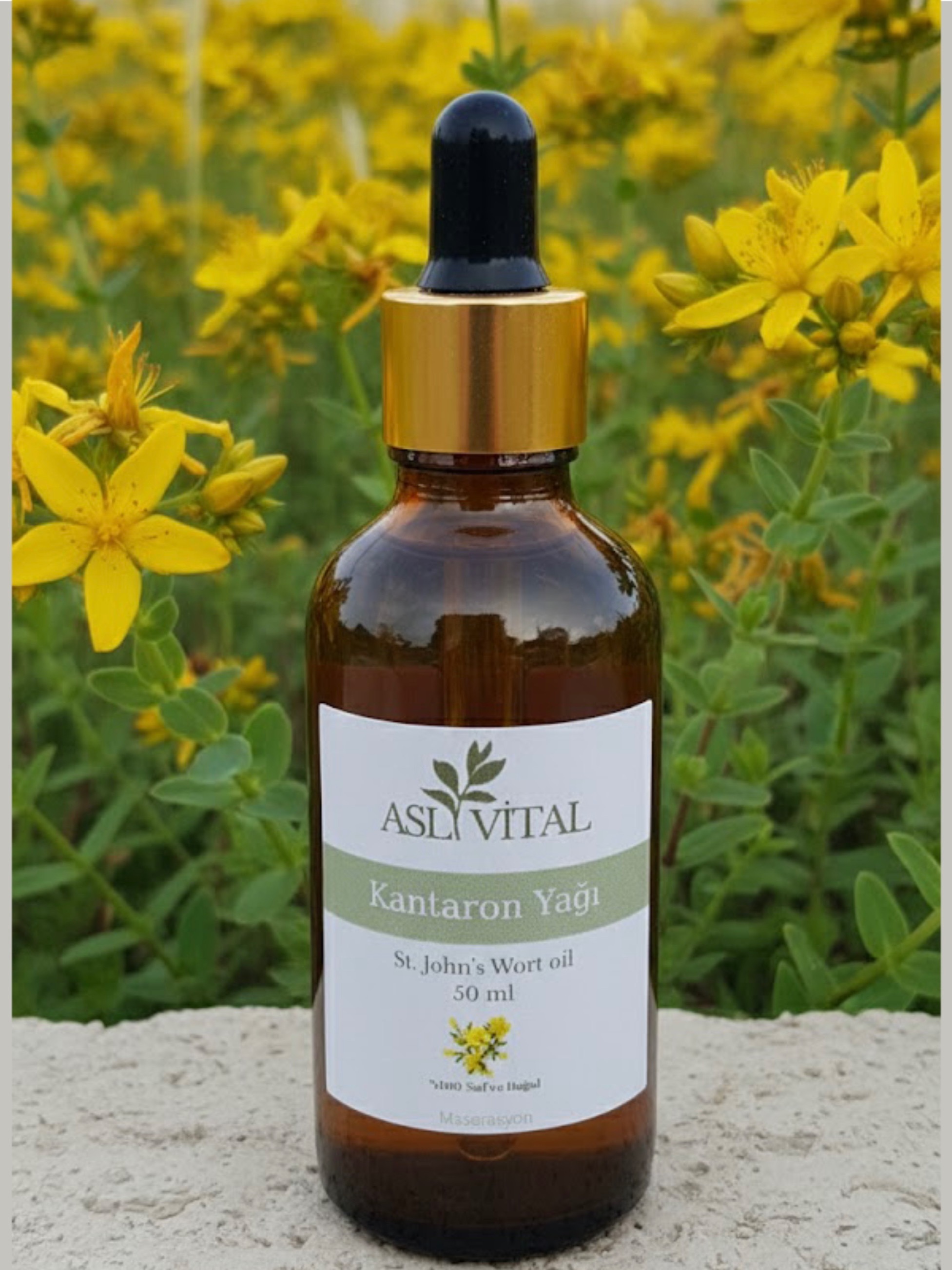 Kantaron Yağı 50 ml
